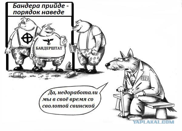 Изгнание бандерлогов от Дюка