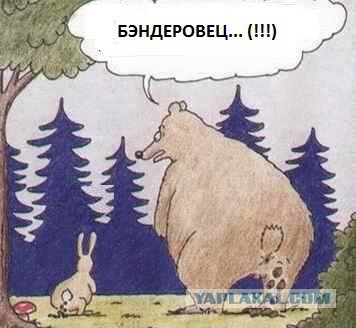 В Донецке восстал Беркут!