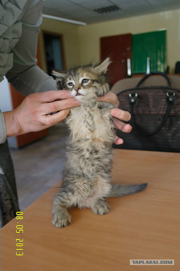 Все умрут, но некоторые не сегодня