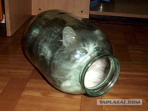 Без паники земляне