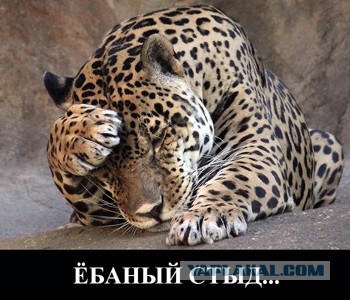 "Кавказская пленница" на новый лад