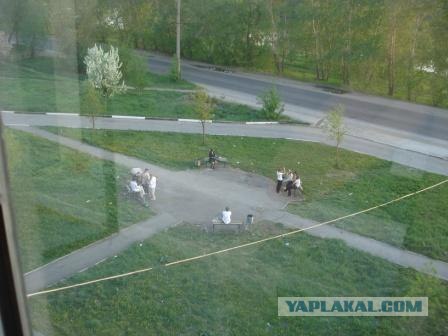 Вид из вашего окна