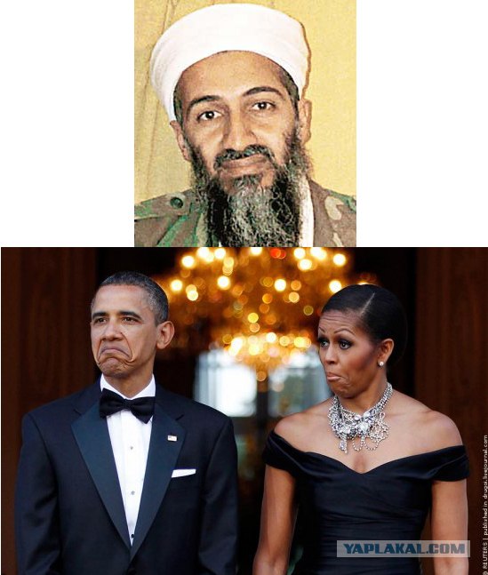 Что-то их удивило