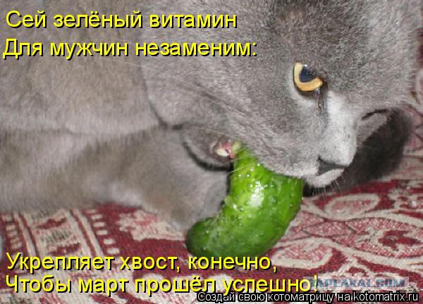 Чёрт, чёрт, чёрт!