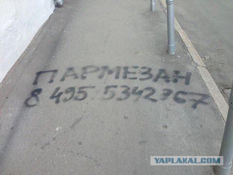 Прикольные пикчи