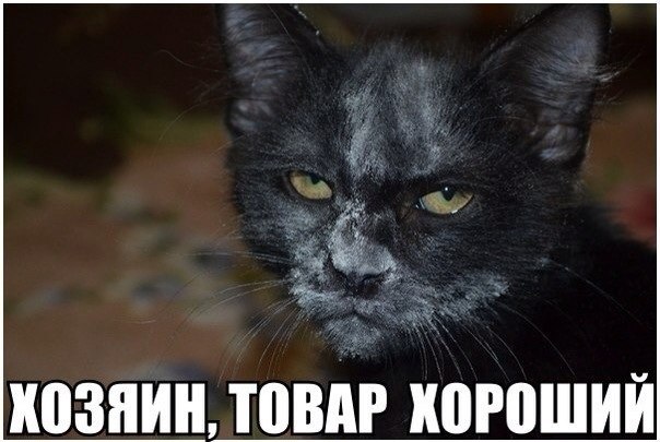 Картинки