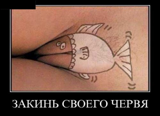 Пошлые демотиваторы 18+, веселые картинки