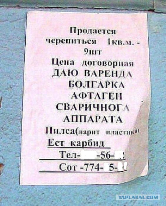 Прикольные объявления и надписи