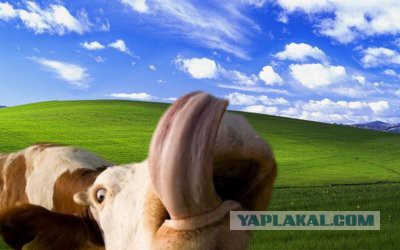 День памяти Windows XP