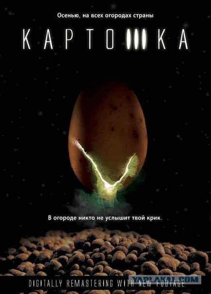 Пост про картоху