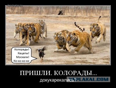 Очкуют все враги наши.