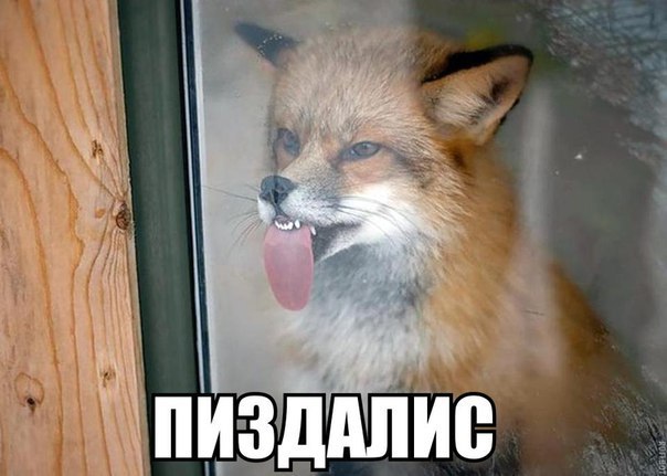 Убью скуку! А кто сразу правильно прочитал? :)))