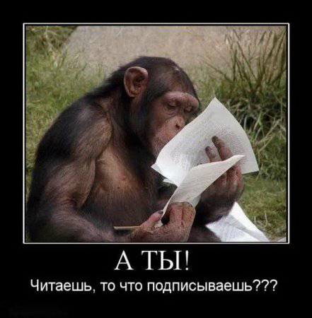Прикольные картинки и демотиваторы