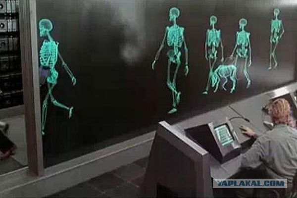 Снимаю шляпу перед израильтянами...