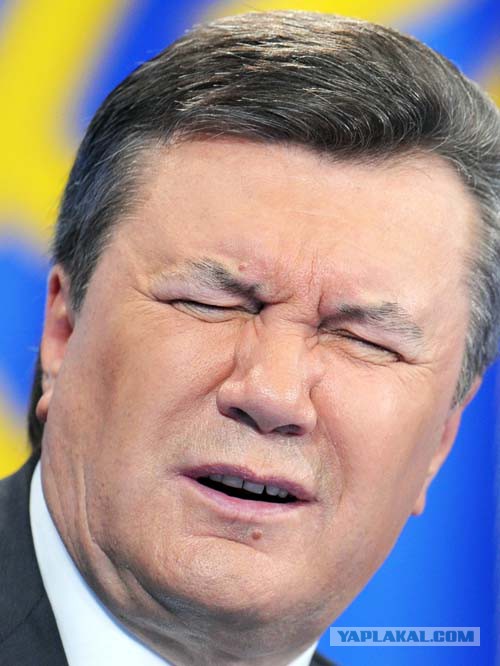 Фото: Яценюка с розами унесли со сцены