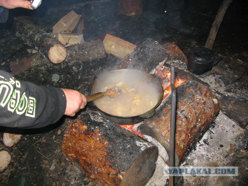 Веппский край, Южная тайга