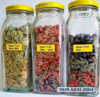 7 самых оригинальных хобби