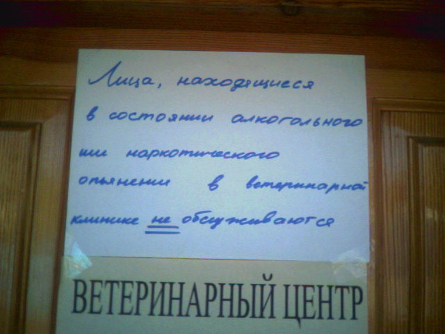 ВЫВЕСКИ, ТАБЛИЧКИ. Смешные и прикольные