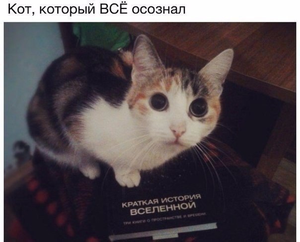 Свежая подборка прикольных картинок