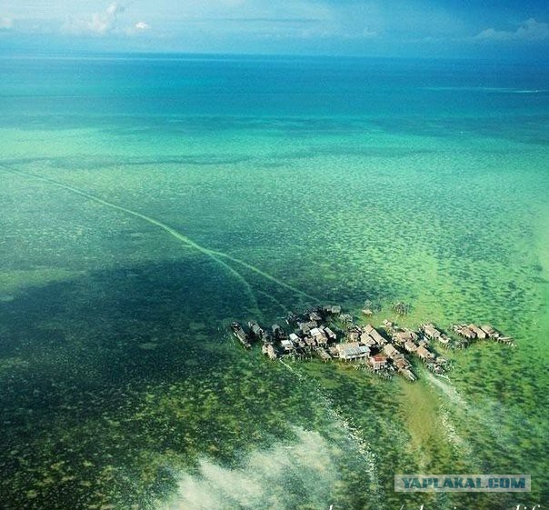 Подборка картинок 29.03.16