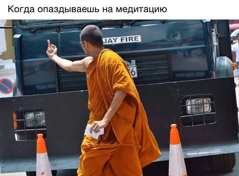 Картинки из сети (07.04.16)