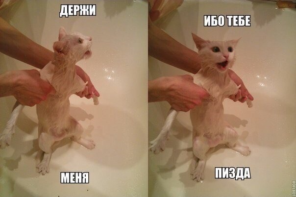 Картинки на пятницу