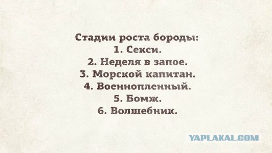 Насколько борода украшает мужчину