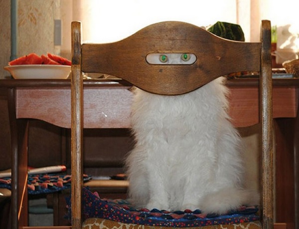 Этот ВЗГЛЯД!