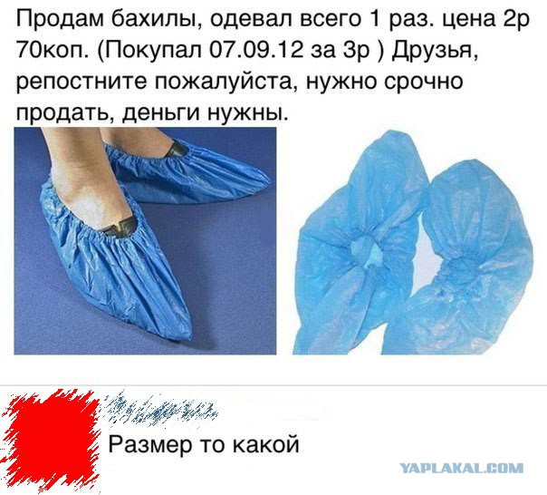 Порция картинок из сети