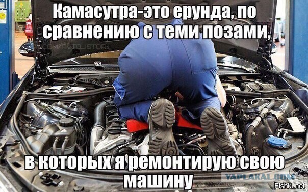 Подборка интересных и веселых картинок