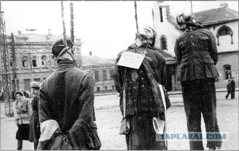 Раскопки немецкого блиндажа