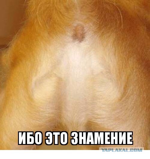 Реальное фото на крещение
