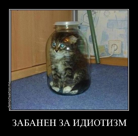 Всякое разное из сети