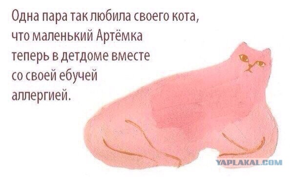 Мизантропизация всей страны