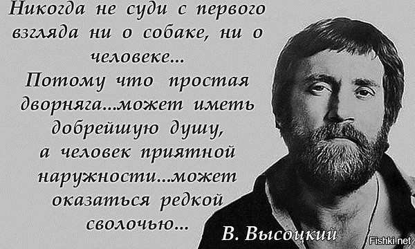 Война без правил. Как защитники животных мстят живодерам