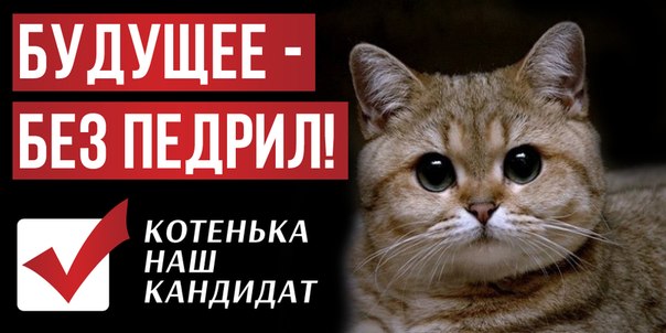 Порнозвезда Елена Беркова будет баллотироваться в президенты России