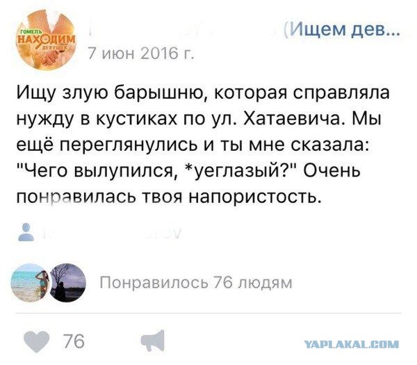 Избиение зоозащитника наездницей с хлыстом попало на видео
