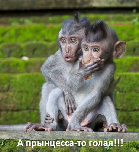 В сеть слили фотки голой невесты принца Гарри Меган Маркл