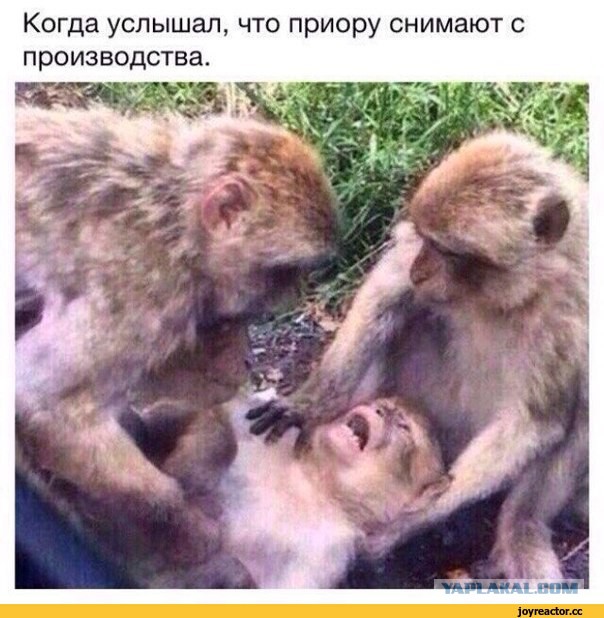 Чеченскую молодежь опечалило снятие с производства Lada Priora