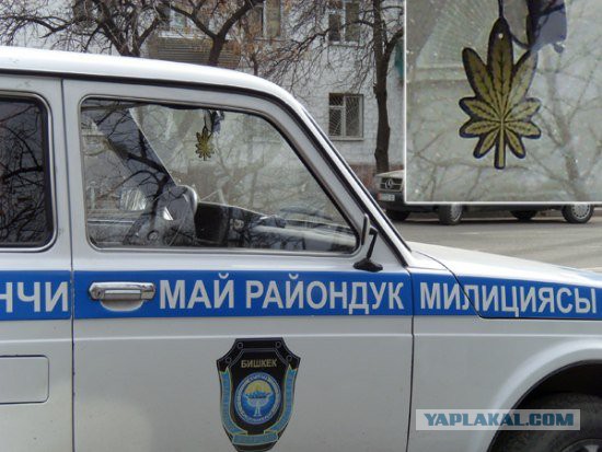 Картинок псто
