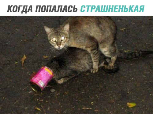Немного картинок на сегодня