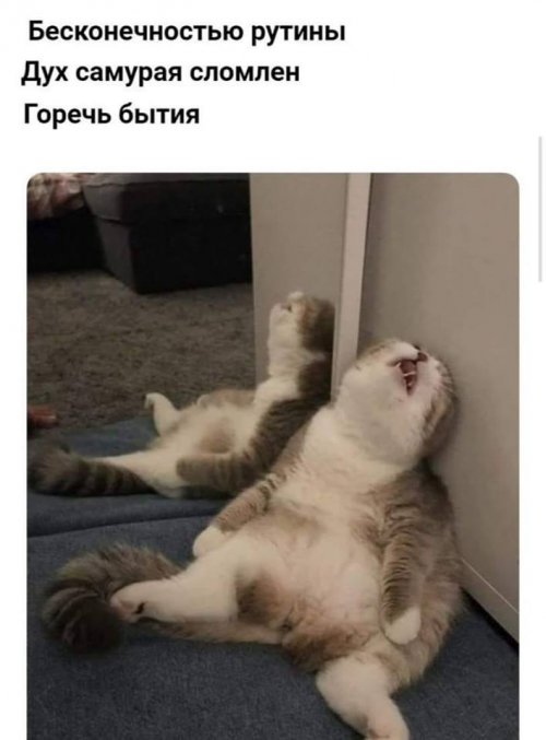Подборка интересных и веселых картинок 18.08.18