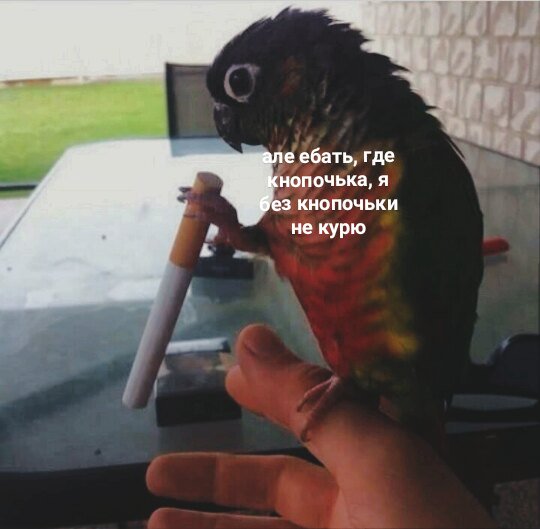 Немного картинок в этот четверг