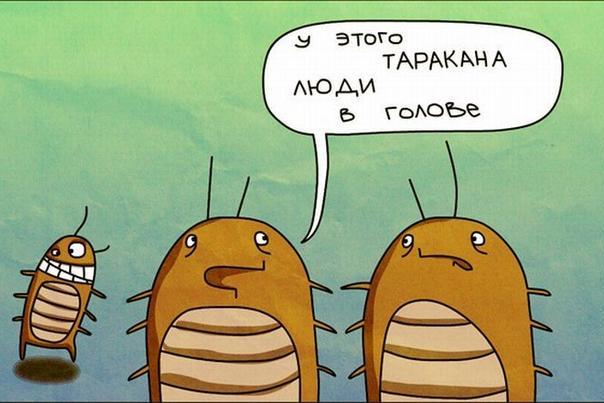 Лисёнок Васька!