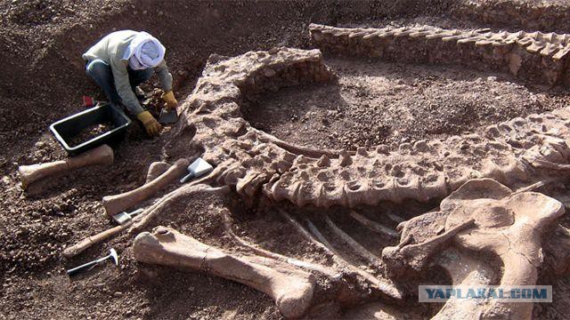 Уникальное открытие гигантского скелета в Таиланде