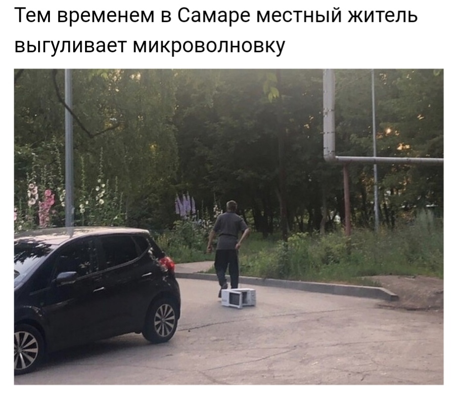 13212973.jpg