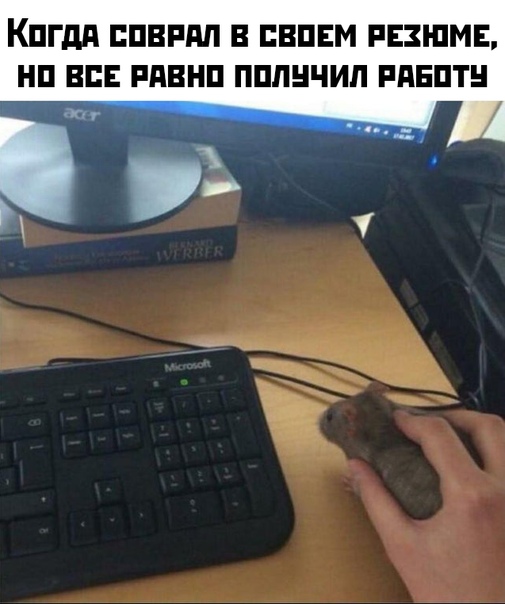 Немного картинок для настроения 10.12.19