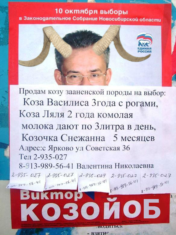 Продам козу