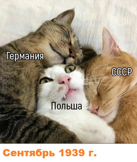 США ответили на слова Путина о виновниках Второй мировой войны