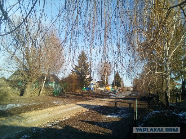 Деревенская Америка - 6